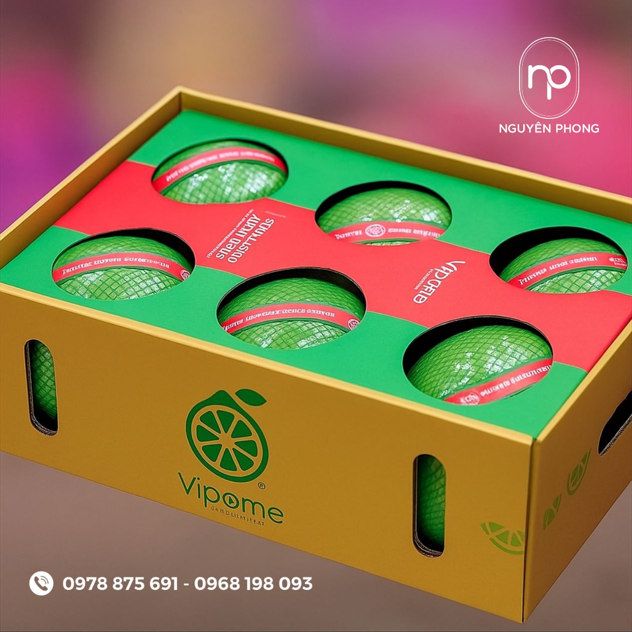 Mẫu in thùng carton đựng bưởi da xanh